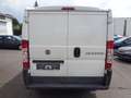 Fiat Ducato Kasten 28 115 Wit - thumbnail 6
