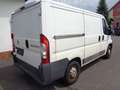 Fiat Ducato Kasten 28 115 Wit - thumbnail 4