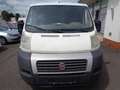 Fiat Ducato Kasten 28 115 Wit - thumbnail 3