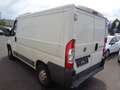 Fiat Ducato Kasten 28 115 Wit - thumbnail 5