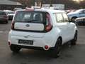 Kia Soul Edition 7*Klima*Pdc* Weiß - thumbnail 4