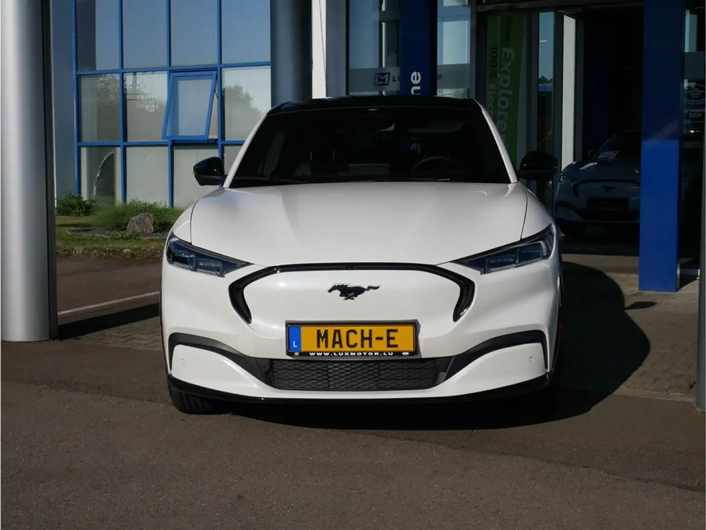 Ford Mustang Mach-E Premium AWD 99kWh Extended Range 351ch/258kW - A1 Bianco - 1