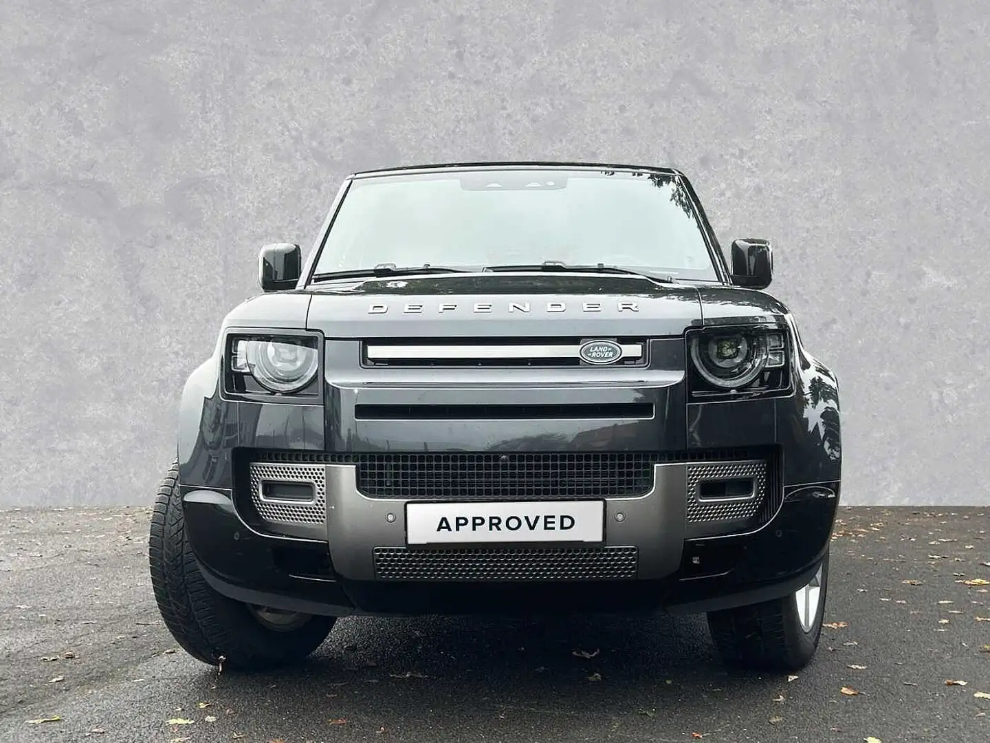 Land Rover Defender Diesel 5-Türer 110 D300 X-Dynamic SE Grau - 2