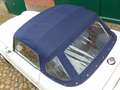 Triumph TR6 Roadster richtig gutes Auto! Weiß - thumbnail 32