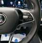 Skoda Octavia Combi RS 4x4 2.0 TDI*FACELIFT*PANO*ACC Gris - thumbnail 15