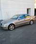 Mercedes-Benz E 320 cdi V6 evo Avantgarde auto FL - thumbnail 1