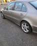 Mercedes-Benz E 320 cdi V6 evo Avantgarde auto FL - thumbnail 6