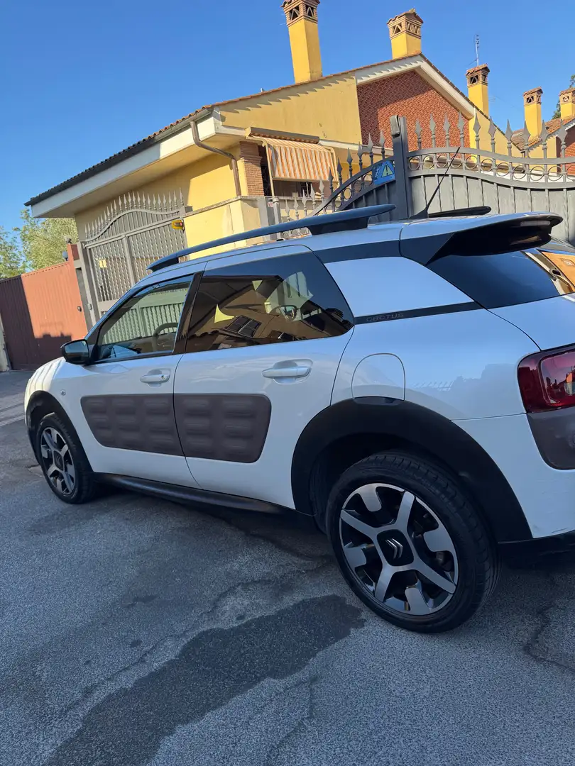 Citroen C4 C4 Cactus 2014 Cactus 1.6 bluehdi Shine s Bianco - 2