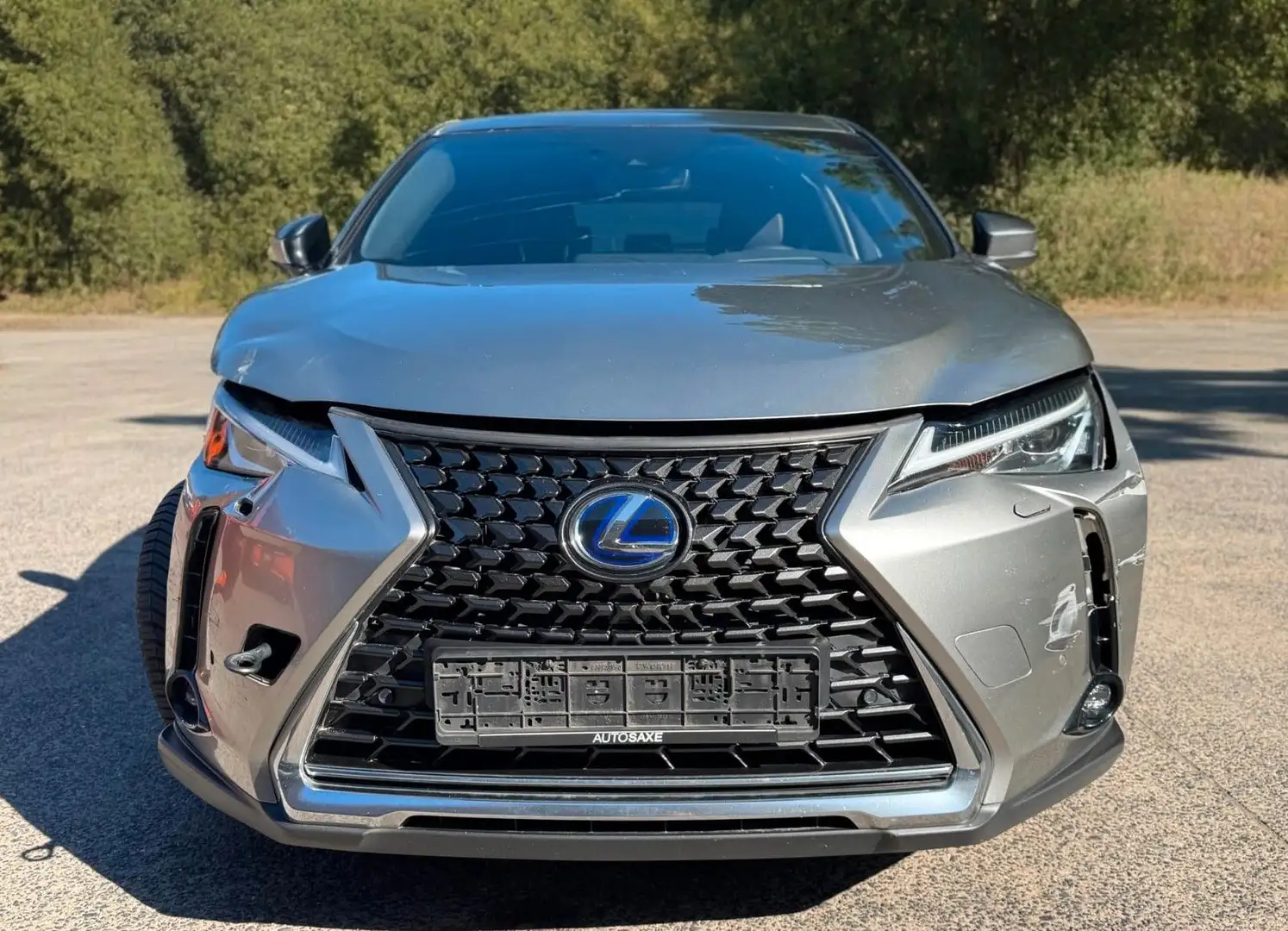 Lexus UX 250h Style*Kamera*ACC*LKH*UNFALL* Zilver - 2