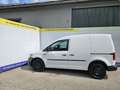 Volkswagen Caddy Kasten  KR 4Motion 2,0 TDI 2x Schiebetür Weiß - thumbnail 20