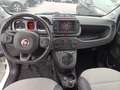 Fiat Panda 4x4 Cross 0.9 t.air t. s&s 85cv Blanc - thumbnail 10