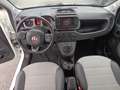 Fiat Panda 4x4 Cross 0.9 t.air t. s&s 85cv Blanc - thumbnail 11