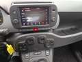 Fiat Panda 4x4 Cross 0.9 t.air t. s&s 85cv Blanc - thumbnail 15