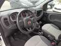 Fiat Panda 4x4 Cross 0.9 t.air t. s&s 85cv Blanc - thumbnail 7