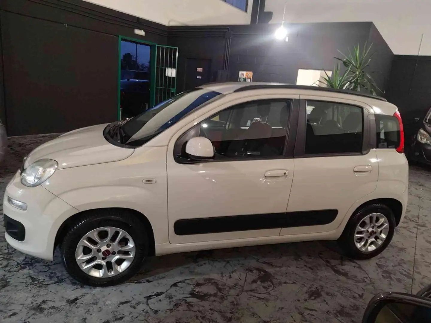 Fiat Panda 1.2 Lounge Blanco - 2
