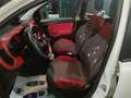 Fiat Panda 1.2 Lounge Weiß - thumbnail 12