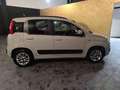 Fiat Panda 1.2 Lounge Blanc - thumbnail 6