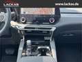Lexus RX 350 h*4x4*EXECUTIVE*PANO*360*SOFORT*15J-GARANTIE* Gri - thumbnail 15