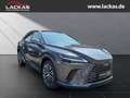 Lexus RX 350 h*4x4*EXECUTIVE*PANO*360*SOFORT*15J-GARANTIE* Gri - thumbnail 7