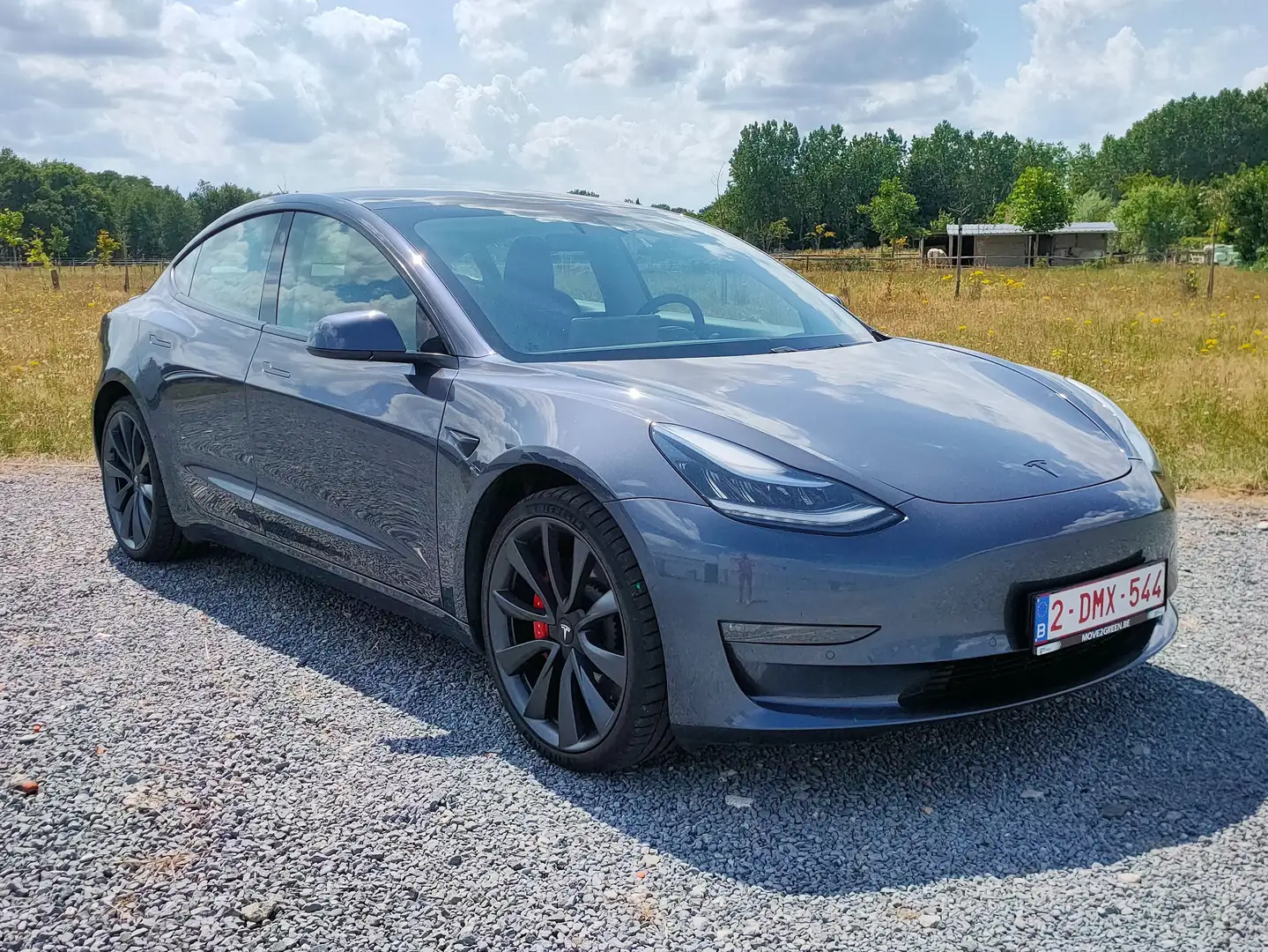 Tesla Model 3 Performance Dual Motor Grey - 1