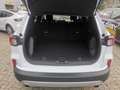 Ford Kuga Plug-In Hybrid Titanium Pano SHZ Assistent Blanc - thumbnail 4