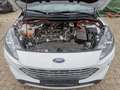 Ford Kuga Plug-In Hybrid Titanium Pano SHZ Assistent Blanc - thumbnail 10
