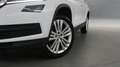 Skoda Kodiaq 1.5 TSI 150pk Limited Business Edition DSG / Navig Wit - thumbnail 12