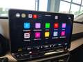 SEAT Leon Road Edition 1.5 eTSI DSG | FullLink| SHZ Grau - thumbnail 10
