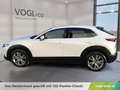 Mazda CX-30 Comfort+ 2,0l 122PS Blanc - thumbnail 2