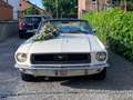 Ford Mustang Wit - thumbnail 2