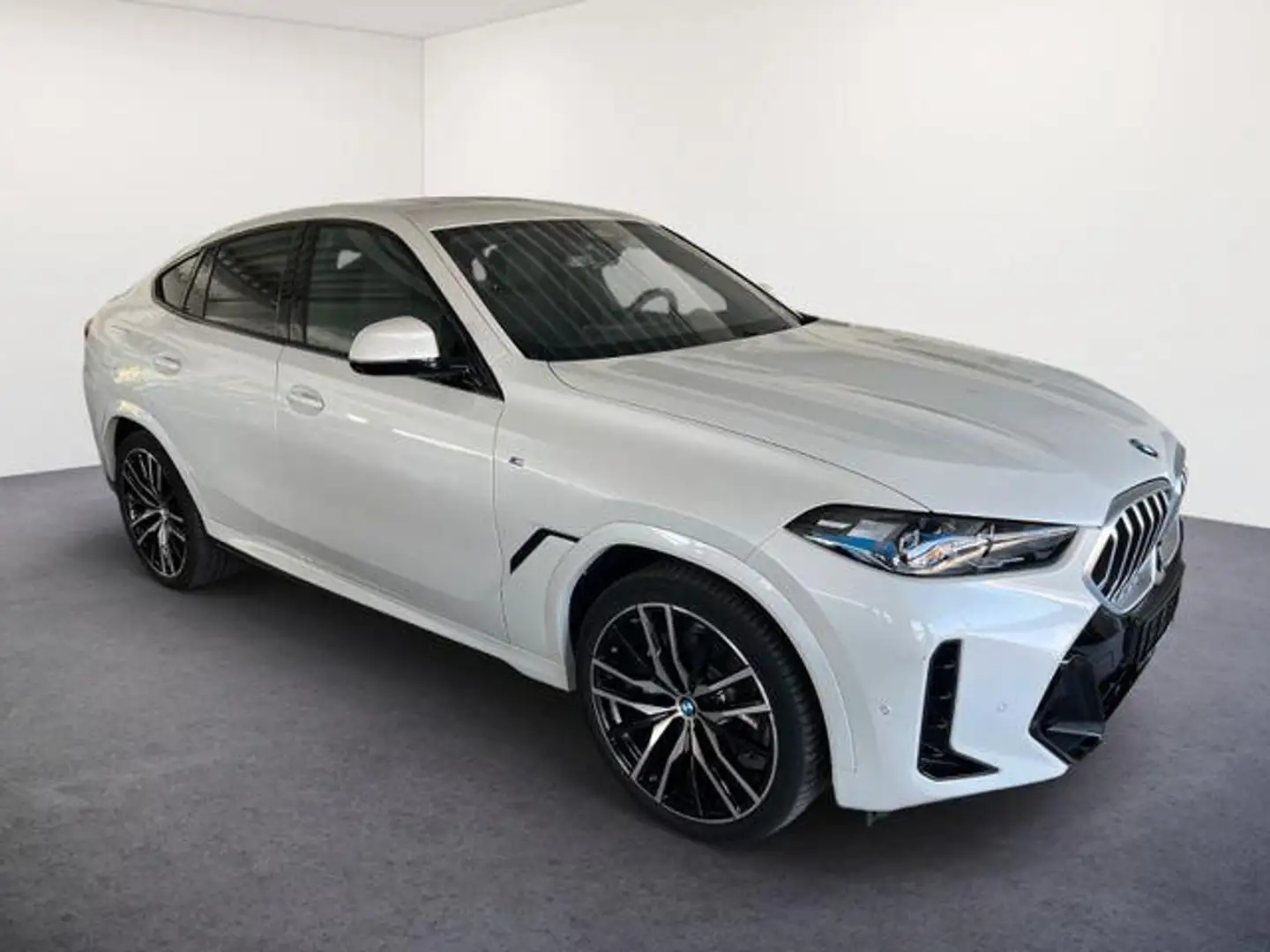 BMW X6 xDrive 40d M SPORT/LED/AHK/PANO-DA/H&K 259 kW (... Weiß - 2