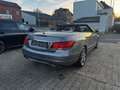 Mercedes-Benz E 250 Cabrio 7-G Airscarf ILS spez.FARBKOMBI! Silber - thumbnail 16