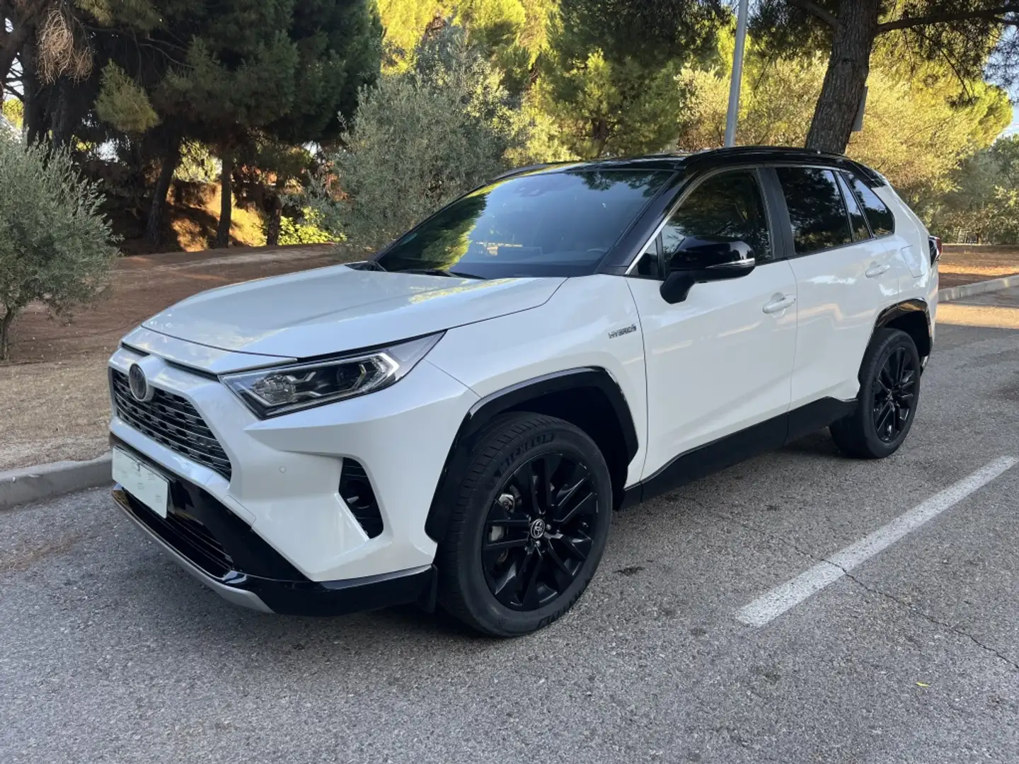 Toyota RAV 4 2.5 hybrid 2WD Style Blanco - 1