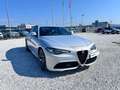 Alfa Romeo Giulia 2.2 Turbo Veloce Grigio - thumbnail 3