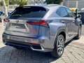 Lexus NX 300 300h Executive 4WD - thumbnail 7