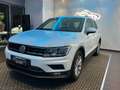 Volkswagen Tiguan Tiguan 2.0 TDI SCR 4MOTION Business BlueMotion Tec Bianco - thumbnail 2
