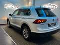 Volkswagen Tiguan Tiguan 2.0 TDI SCR 4MOTION Business BlueMotion Tec Bianco - thumbnail 13