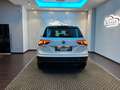 Volkswagen Tiguan Tiguan 2.0 TDI SCR 4MOTION Business BlueMotion Tec Bianco - thumbnail 15