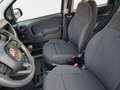 Fiat Panda 1.0 Pandina Mild Hybrid 6-Gang Klima digital Co... Schwarz - thumbnail 10