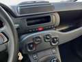 Fiat Panda 1.0 Pandina Mild Hybrid 6-Gang Klima digital Co... Schwarz - thumbnail 8