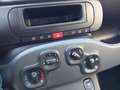 Fiat Panda 1.0 Pandina Mild Hybrid 6-Gang Klima digital Co... Schwarz - thumbnail 7