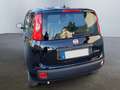 Fiat Panda 1.0 Pandina Mild Hybrid 6-Gang Klima digital Co... Schwarz - thumbnail 13