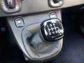 Fiat Panda 1.0 Pandina Mild Hybrid 6-Gang Klima digital Co... Schwarz - thumbnail 9