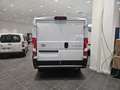 Toyota Proace Max 35 2.2 BlueHDi 140CV PM-TN Furgone Bianco - thumbnail 4