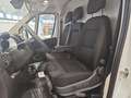 Toyota Proace Max 35 2.2 BlueHDi 140CV PM-TN Furgone Wit - thumbnail 9