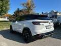 Renault Austral Iconic Esprit Alpine Fullhybrid 200PS Klima Navi Weiß - thumbnail 3