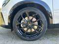 Renault Austral Iconic Esprit Alpine Fullhybrid 200PS Klima Navi Weiß - thumbnail 9