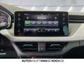 Skoda Scala 1.0TSI DSG Tour NAVI TOTWINKEL BLACK IMAGE Grau - thumbnail 13