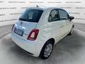 Fiat 500 1.0 Hybrid 70cv Blanc - thumbnail 5