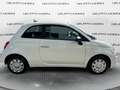 Fiat 500 1.0 Hybrid 70cv Blanc - thumbnail 4